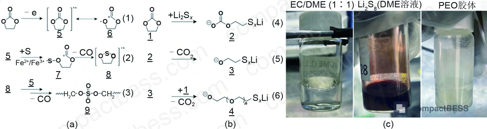 Figure 2: Reaction scheme showing in-situ gelation mechanism — S oxidation at cathode to form lithium alkyl sulfate, and polysulfide-initiated EC ring-opening at anode to form PEO-type polymer electrolyte