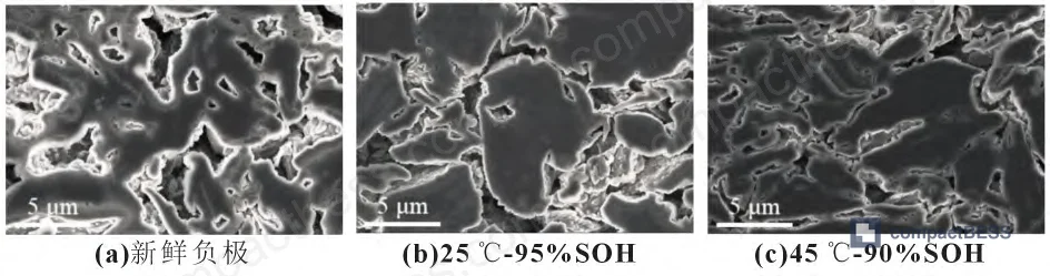 Figure 8: SEM cross-section of graphite particles — internal cracking visible at 70 and 80 °C, absent at 25–60 °C