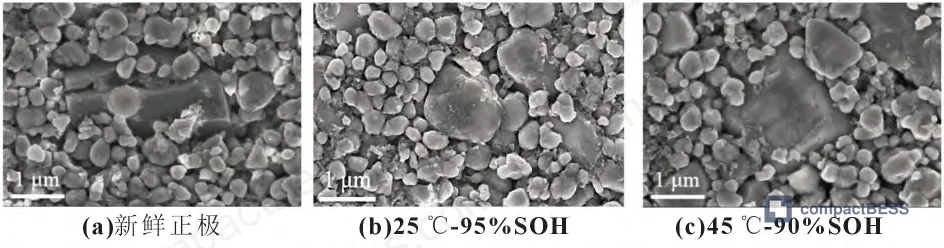 Figure 12: SEM surface morphology of LiFePO₄ cathode particles — surface cracking visible at 70–80 °C cycling conditions
