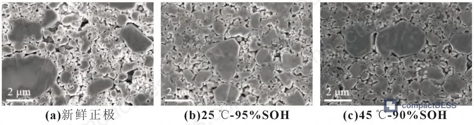 Figure 14: LiFePO₄ cathode surface and cross-section SEM comparison across cycling temperatures
