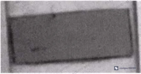 Figure 7: Macroscopic photographs of ceramifiable composite samples after 950°C sintering — demonstrating intact ceramic morphology with no cracking across all filler variants, confirming fire barrier structural integrity